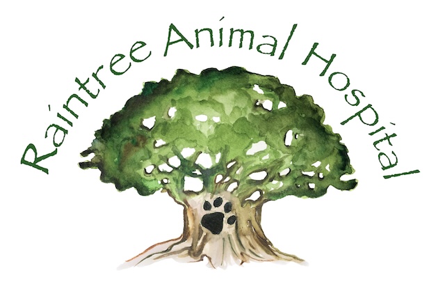Raintree Animal Hospital